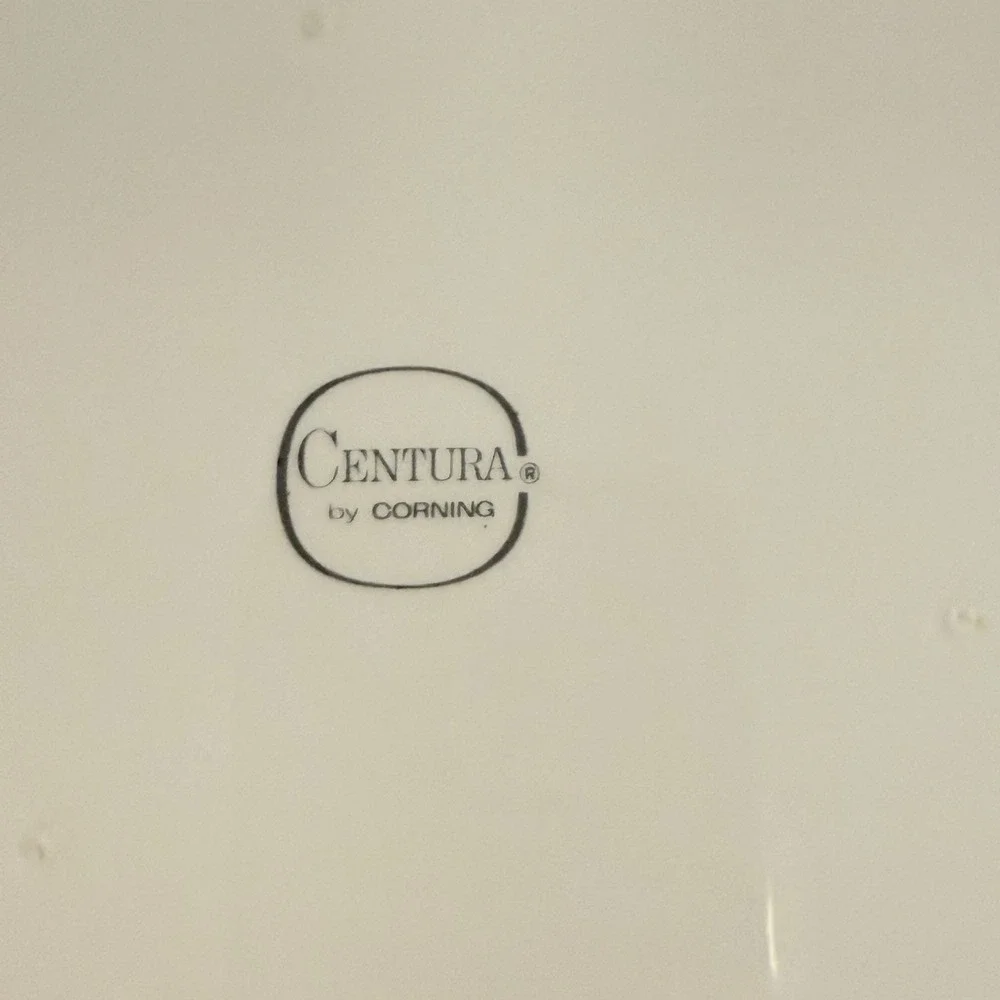 VTG Corning Centura‎ Classic Dinner Plates 10